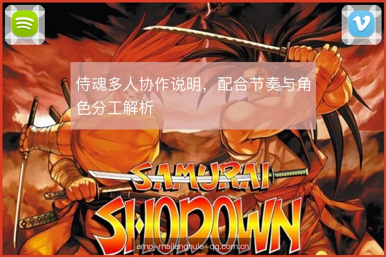 侍魂多人协作说明，配合节奏与角色分工解析